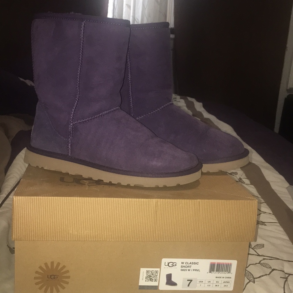 Purple uggs